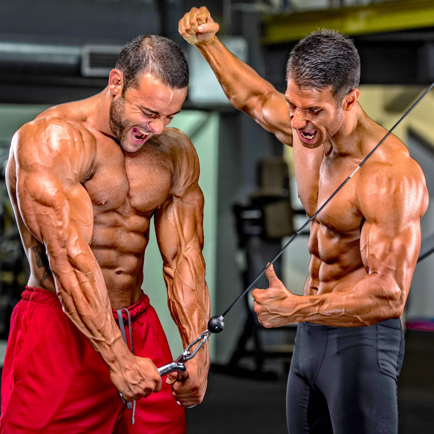 Bodybuilding Motivation. Two Bodybuilders Train Together at the Gym